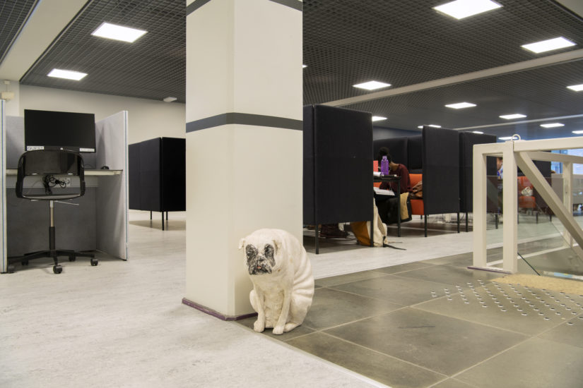 Delikatessehund, Øyvind Åstein. Fotograf: Ingun A. Mæhlum