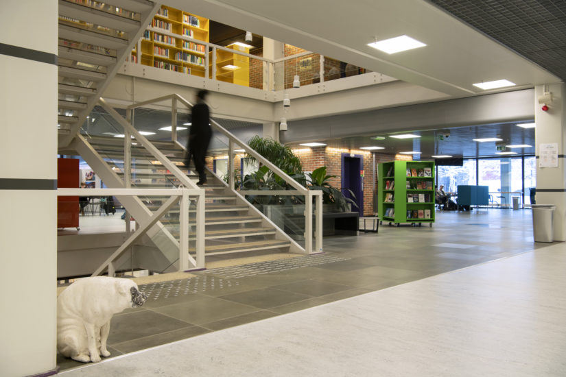 Delikatessehund, Øyvind Åstein. Fotograf: Ingun A. Mæhlum