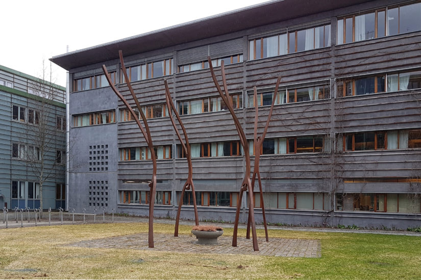 <em>Opp-ned</em>, Kåre Groven. Photographer: Cathrine Wang / KORO