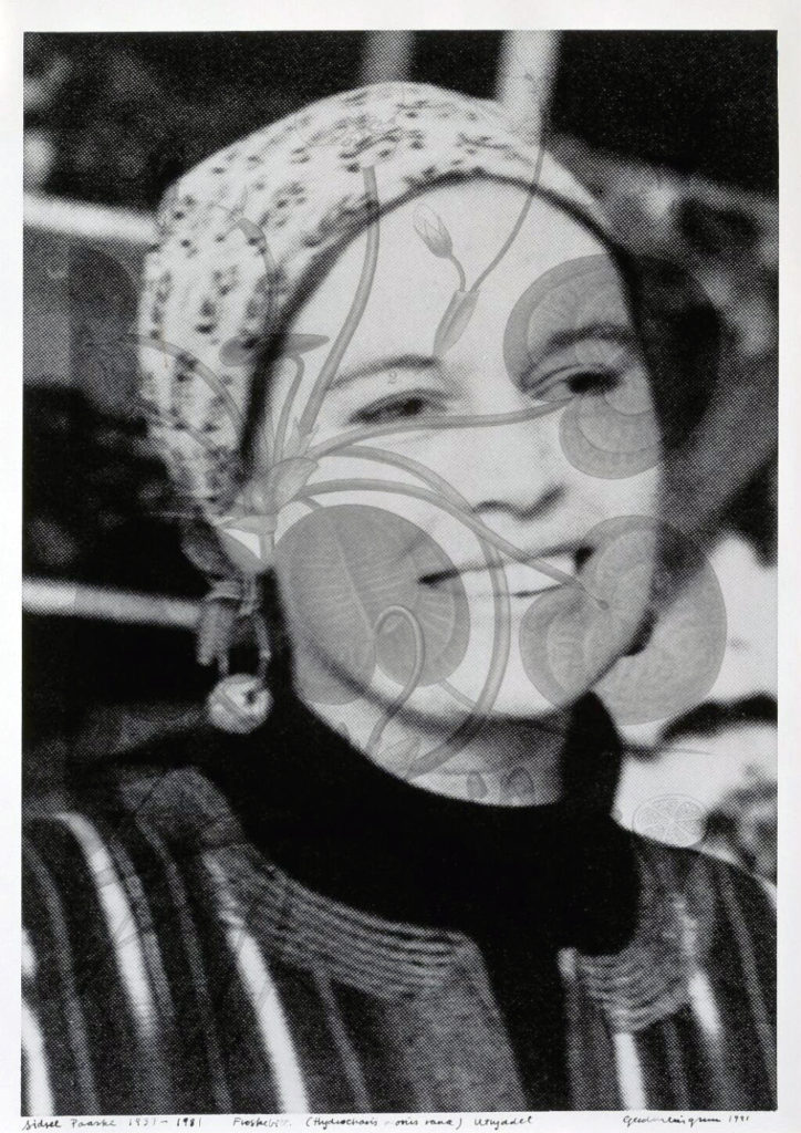 <em>Sidsel Paaske (1937–1980) Froskebitt (Hydrocharis Morsus Ranae) utryddet</em>, Gerd M. Tinglum. Photographer: Anne Grete Thoresen