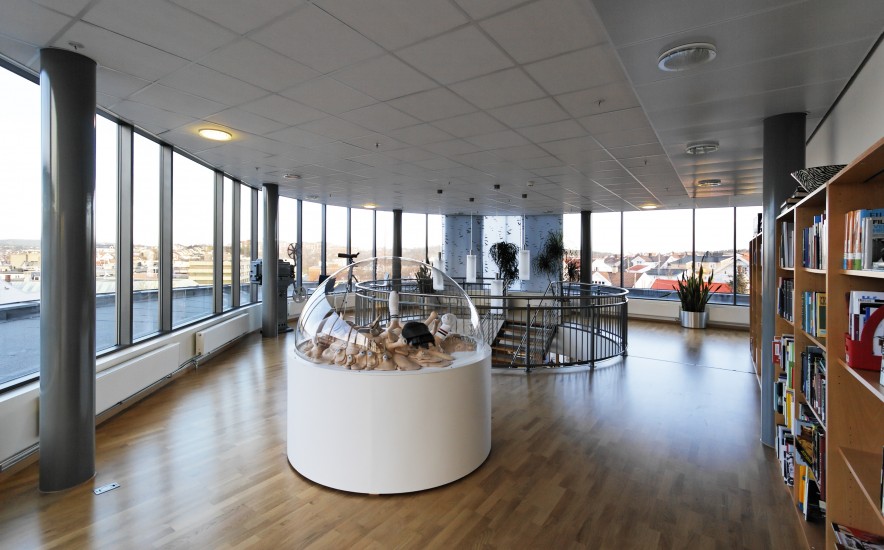 When everything explodes we'll be free, Bjørn Bjarre. Fotograf: Werner Zellien