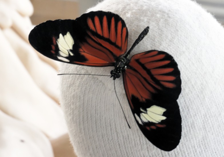 When everything explodes we'll be free, Bjørn Bjarre. Fotograf: Werner Zellien