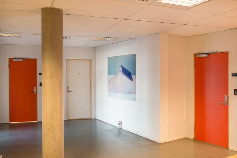 Bok, Margareta Bergman. Fotograf: Thor Brødreskift