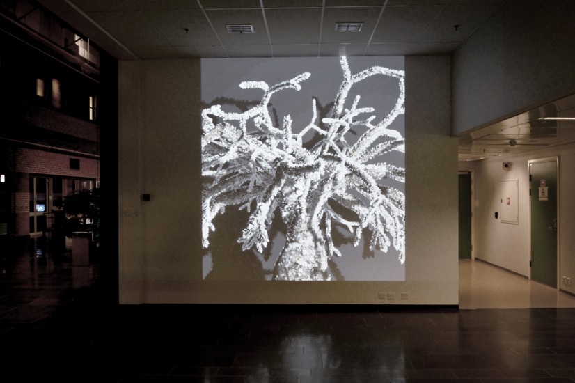 Seeing is believing, av Veronika Moen. Fotograf: Signe Marie Andersen