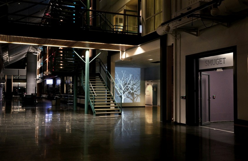 Seeing is believing, av Veronika Moen. Fotograf: Signe Marie Andersen