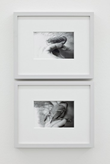 Linear (Turning), Ane Graff. Fotograf: Karen Christine Tandberg