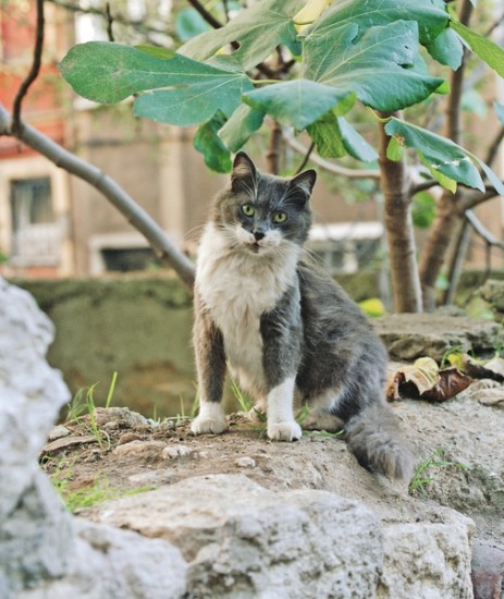 Johnny, av Dag Nordbrenden. Fotograf: Annar Bjørgli