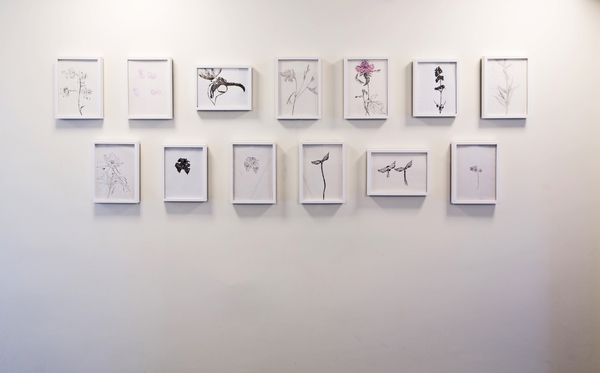 Hommage a Dagny Tande Lid / Why do I draw?, av Lotte Konow Lund. Fotograf: Annar Bjørgli