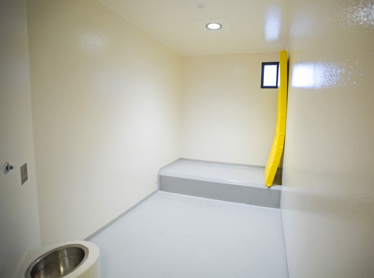 Stemninger for glattceller, Elin Øyer Vister. Fotograf: Ukjent