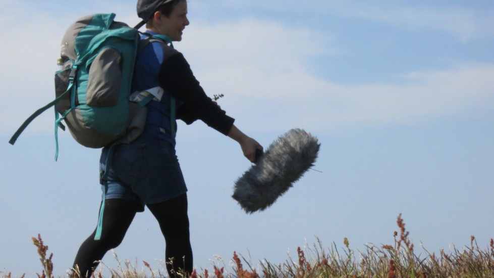 Stemninger for glattceller, Elin Øyer Vister. Fotograf: Ukjent