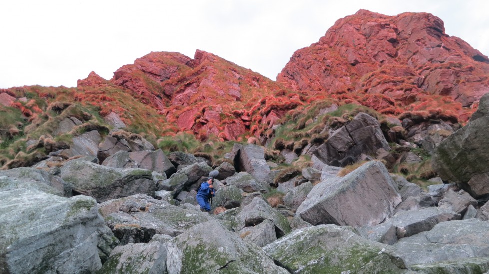 Stemninger for glattceller, Elin Øyer Vister. Fotograf: Ukjent
