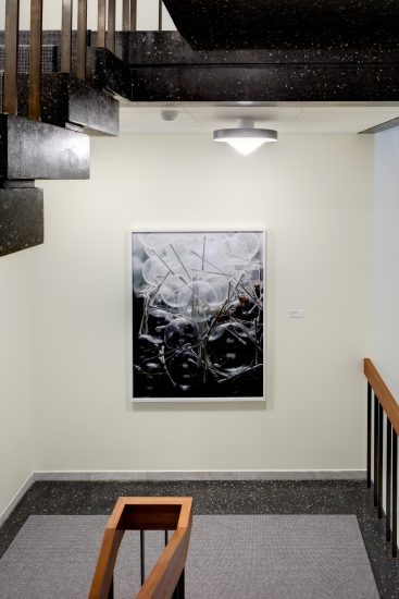 Shadow Work no.2, Torbjørn Rødland. Fotograf: Jussi Tiainen