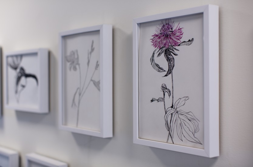 Hommage a Dagny Tande Lid / Why do I draw?, av Lotte Konow Lund. Fotograf: Annar Bjørgli