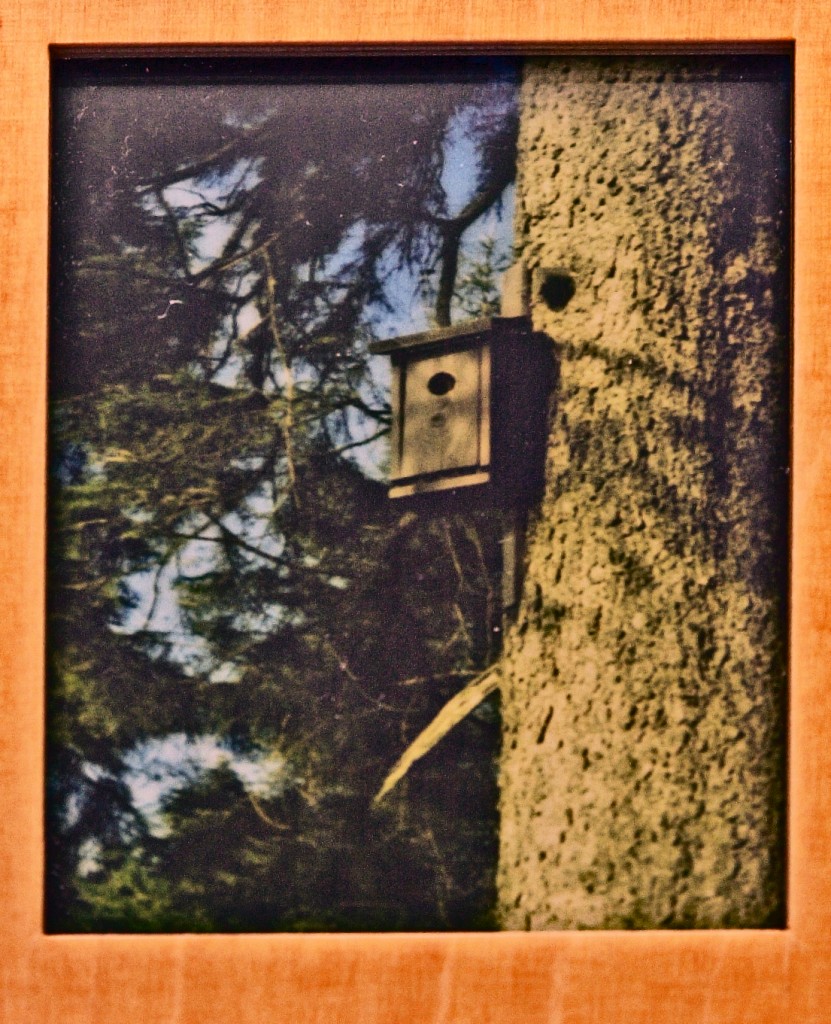 <em>Tanker er ting</em>, Torbjørn Rødland. Photographer: Torbjørn Rødland