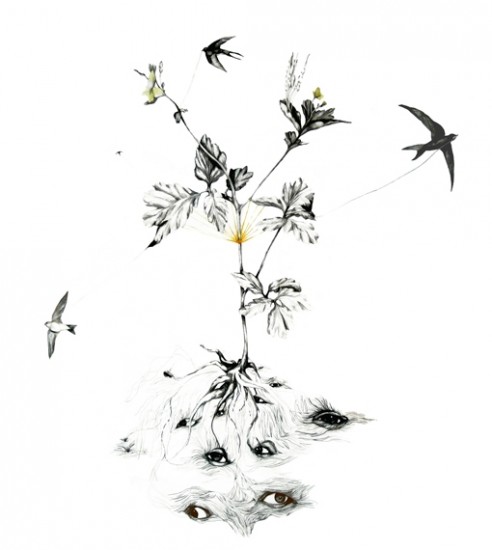 Chelidonium Majus (Svaleurt), Maja Nilsen. Fotograf: Maja Nilsen