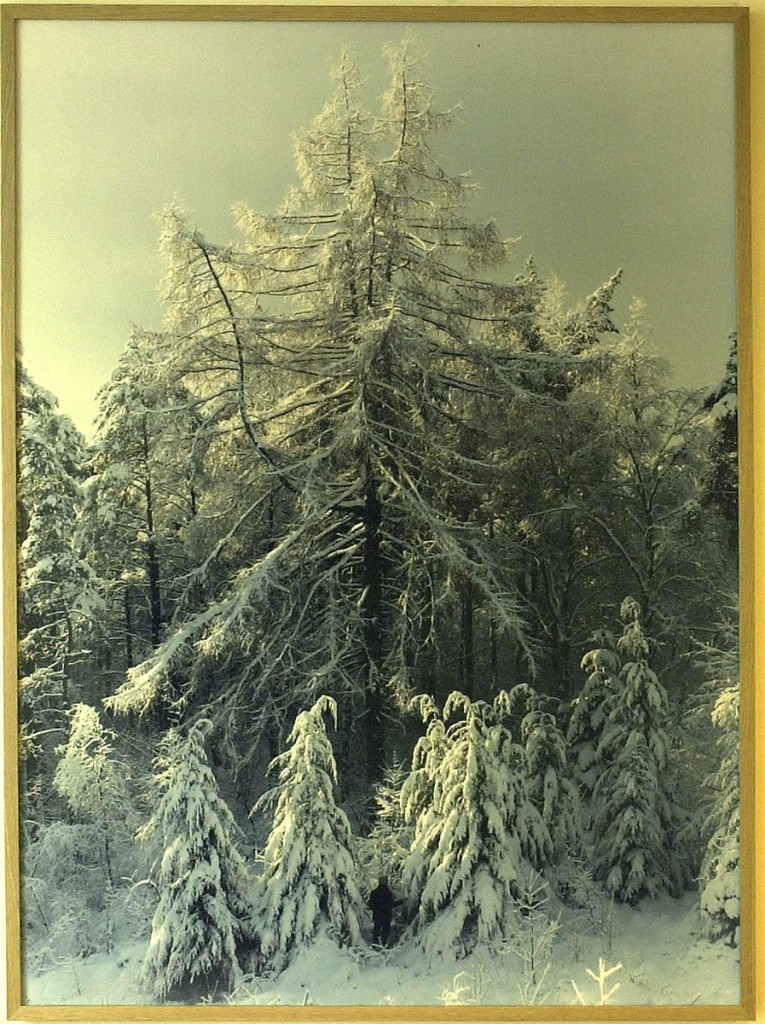 <em>I et norsk landskap</em>, Torbjørn Rødland. Photographer: Svein Plukkerud