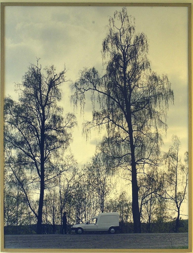 <em>Landskap med motorstopp</em>, Torbjørn Rødland. Photographer: Svein Plukkerud