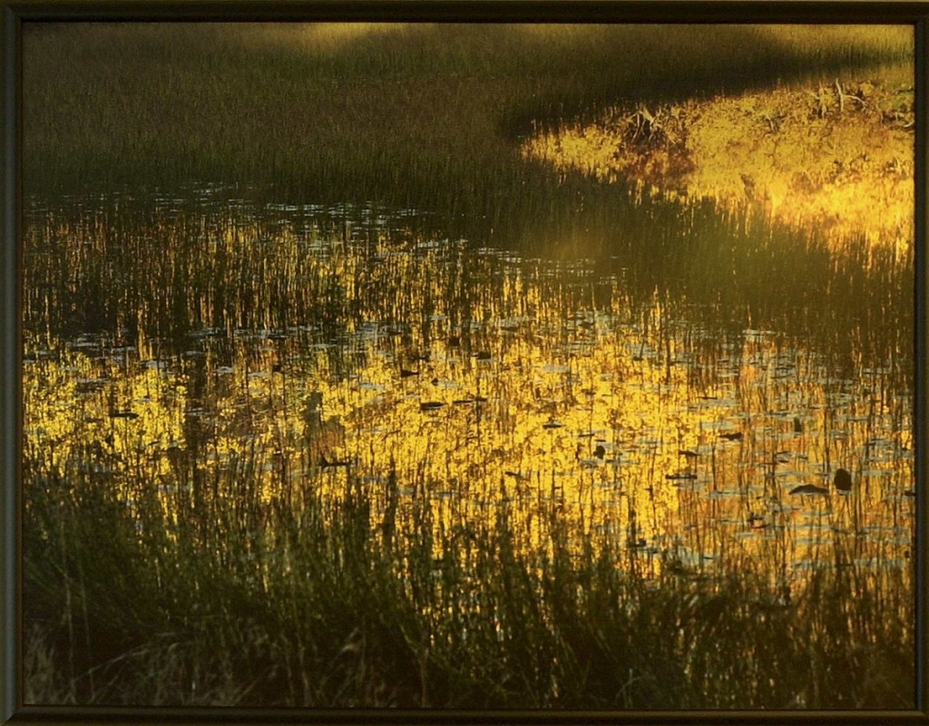 <em>Høst refleksjon</em>, Trym Ivar Bergsmo. Photographer: Inget navn
