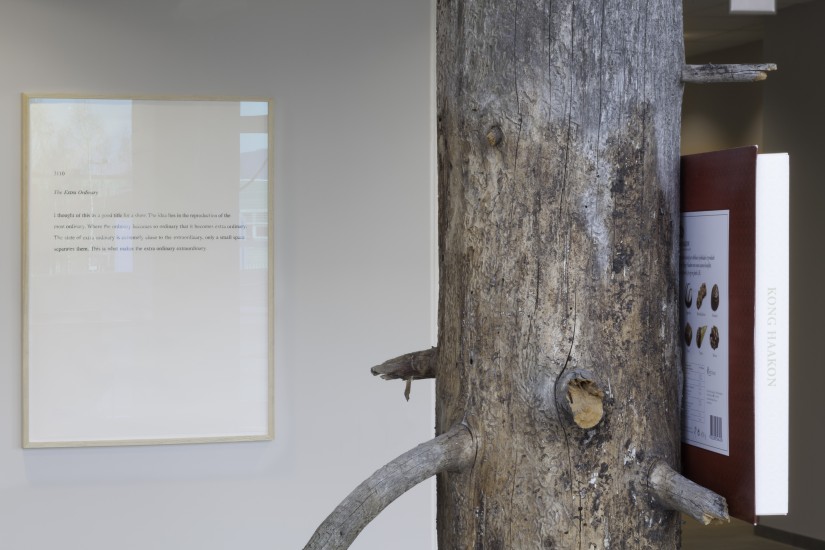 Chocolate Box Studio/The River Runs Here, Andreas Siqueland. Fotograf: Werner Zellien