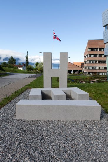 HEI, Lina Viste Grønli. Fotograf: Ingvild Brekke Myklebust
