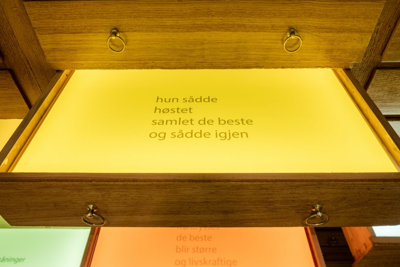 Frøfortellinger/ Stories of seeds, Hanne Tyrmi. Fotograf: Marius Hauge