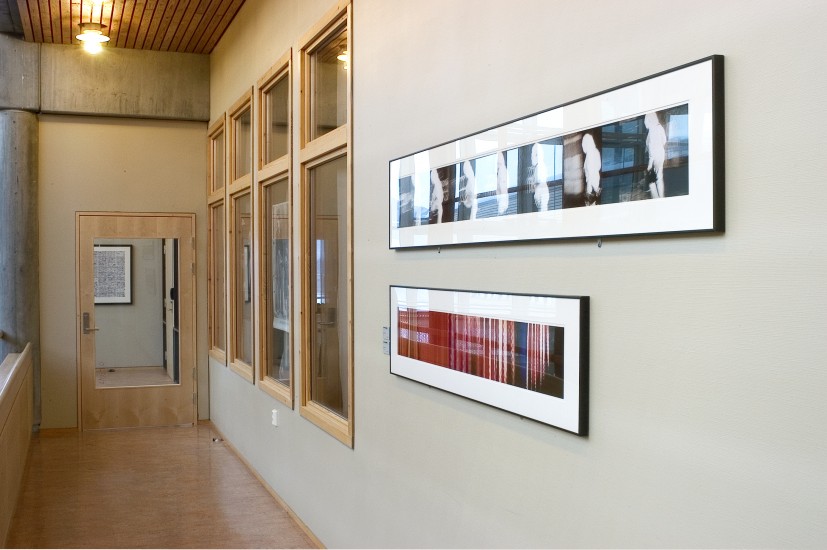 <em>Alley Cat og Color Curtains</em>, John Waters. Photographer: Jaro Hollan