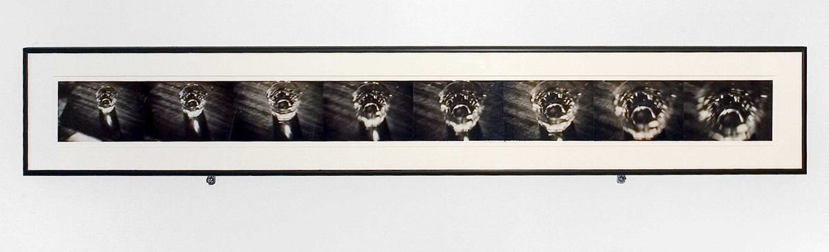 <em>Last Call</em>, John Waters. Photographer: Jaro Hollan