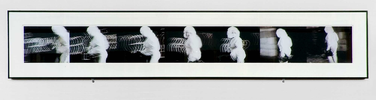 <em>Alley Cat</em>, John Waters. Photographer: Jaro Hollan