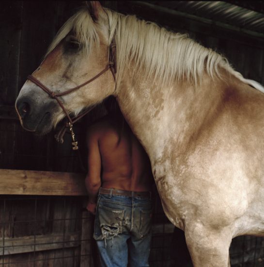 The ideal state  (The apprentice tending the horses), Una Hunderi. Fotograf: Una Hunderi
