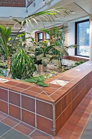 <em>20160525_150853</em>