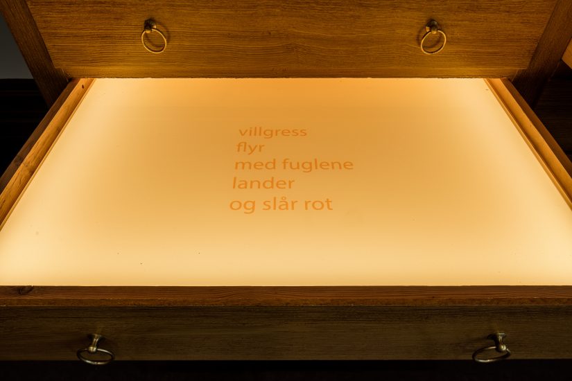 <em>Frøfortellinger/ Stories of seeds</em>, Hanne Tyrmi. Photographer: Marius Hauge