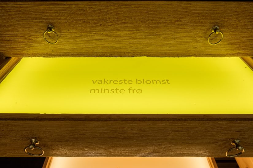 <em>Frøfortellinger/ Stories of seeds</em>, Hanne Tyrmi. Photographer: Marius Hauge
