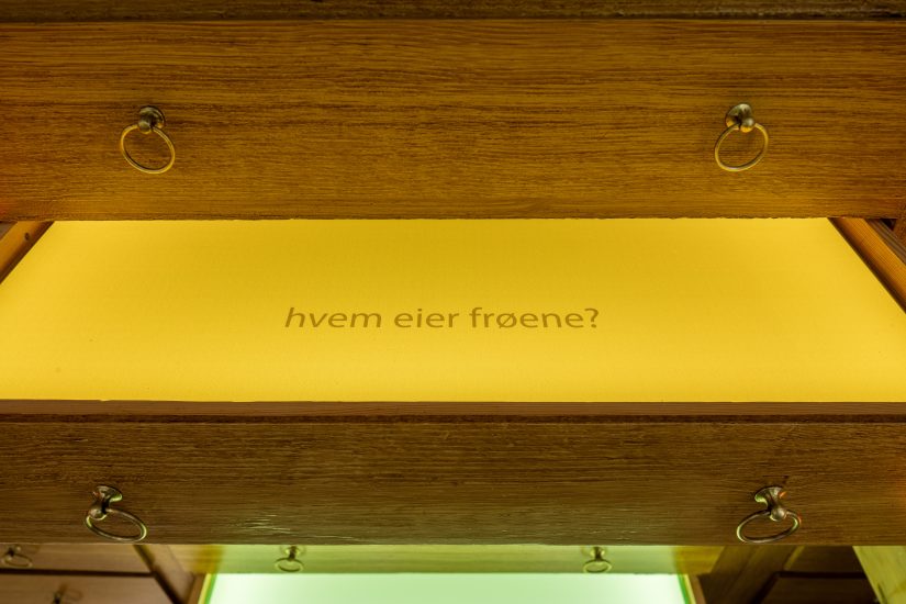 <em>Frøfortellinger/ Stories of seeds</em>, Hanne Tyrmi. Photographer: Marius Hauge
