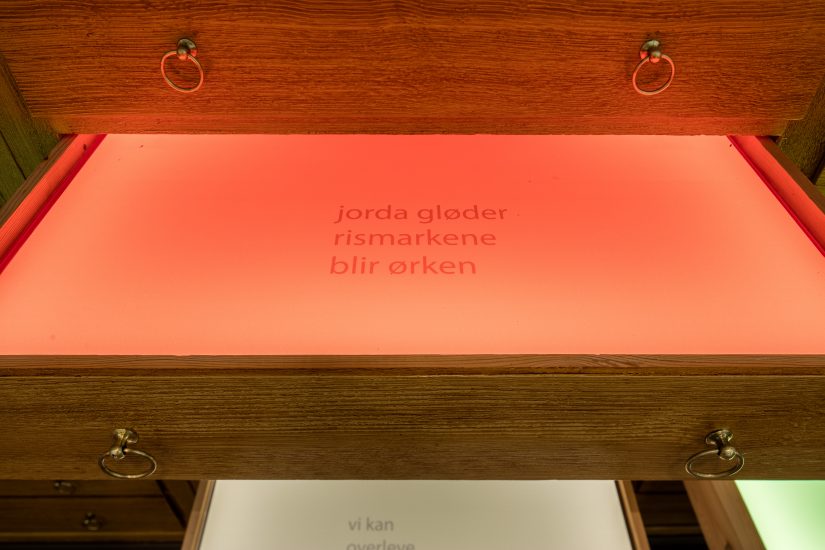 <em>Frøfortellinger/ Stories of seeds</em>, Hanne Tyrmi. Photographer: Marius Hauge