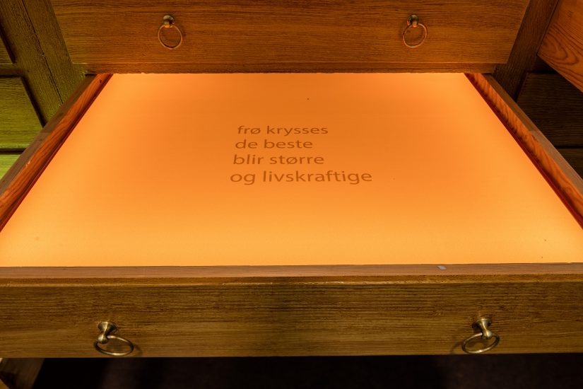 <em>Frøfortellinger/ Stories of seeds</em>, Hanne Tyrmi. Photographer: Marius Hauge