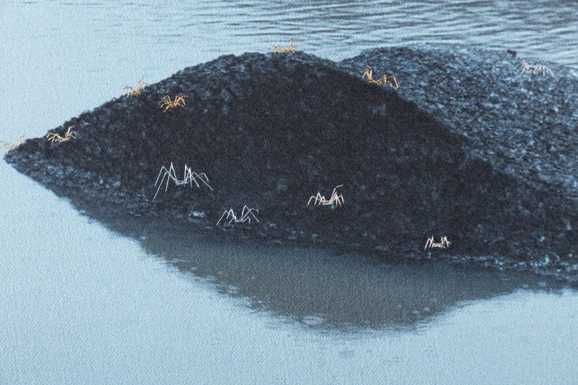 <em>A New Beginning – Wisdom of the North</em>, Hege Dons Samset. Photographer: Marius Hauge