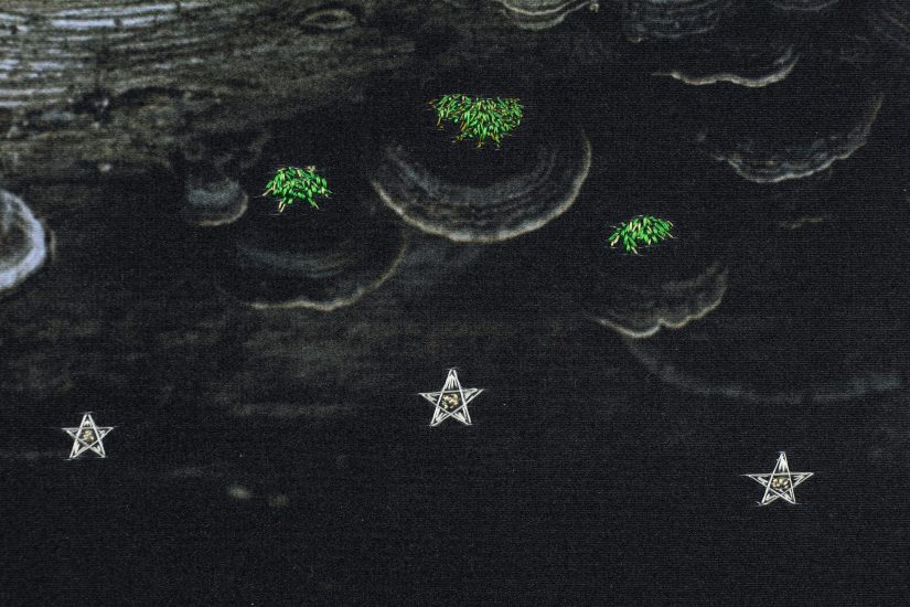 <em>Conversations in the Undergrowth – Wisdom of the East and South</em>, Hege Dons Samset. Photographer: Marius Hauge