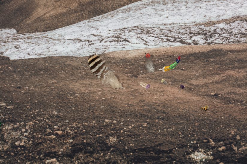 <em>The Conference of Birds – Wisdom of the West</em>, Hege Dons Samset. Photographer: Marius Hauge