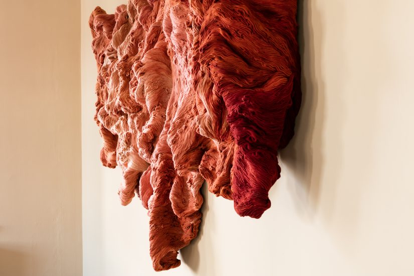 <em>Shades of Rubia Tinctorum</em>, Hanne Friis. Photographer: Marius Hauge