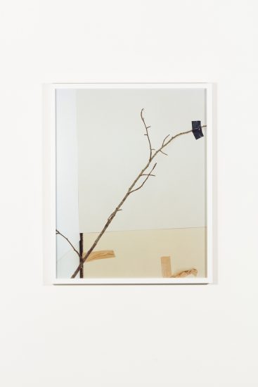 <em>Still Life #9</em>, Marte Aas. Photographer: Marius Hauge
