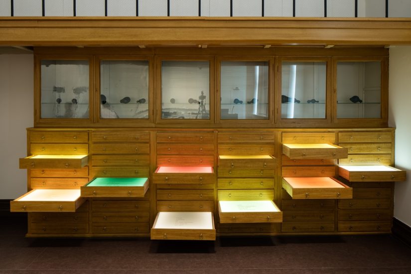 <em>Frøfortellinger/ Stories of seeds</em>, Hanne Tyrmi. Photographer: Marius Hauge