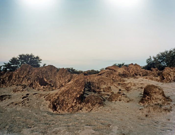 <em>Gramas–Ancestors</em>, Hege Dons Samset. Photographer: Marius Hauge