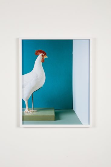 <em>Still Life #3</em>, Marte Aas. Photographer: Marius Hauge