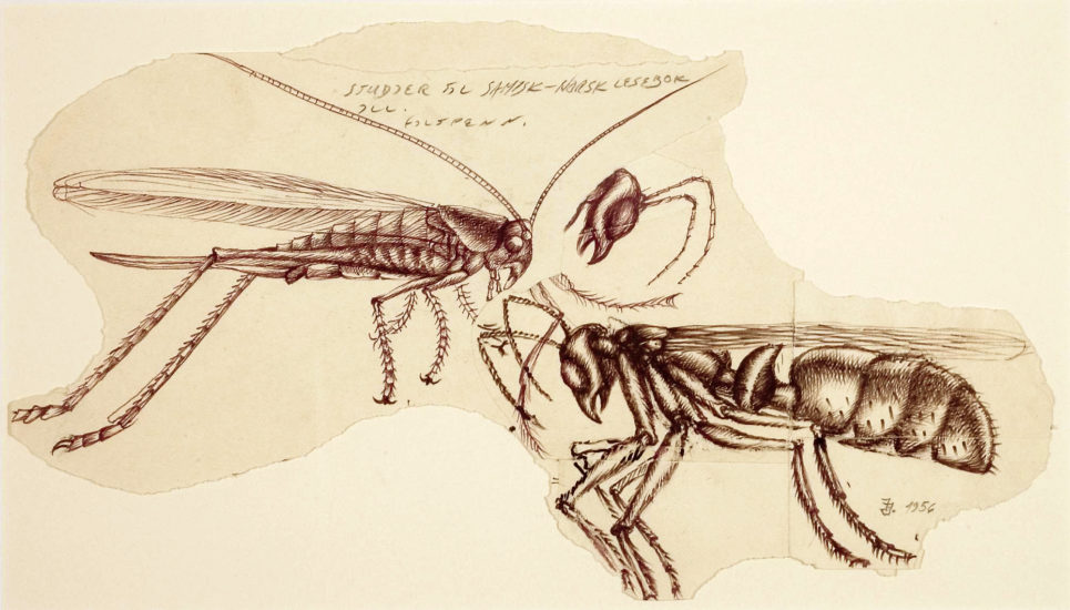 <em>Insekter</em>, Iver Jåks. Photographer: Bjørn-Kåre Iversen