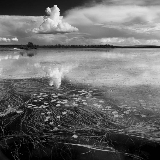 <em>Leipimäjärvi sàivasjø ved Muonio i Finland</em>, Arvid Sveen. Photographer: Arvid Sveen