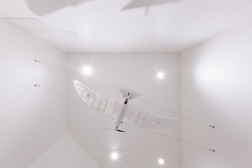 <em>Måke 1.0</em>, Anders Eiebakke. Photographer: Werner Zellien