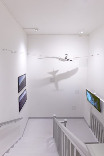 Måke 1.0, Anders Eiebakke. Fotograf: Werner Zellien