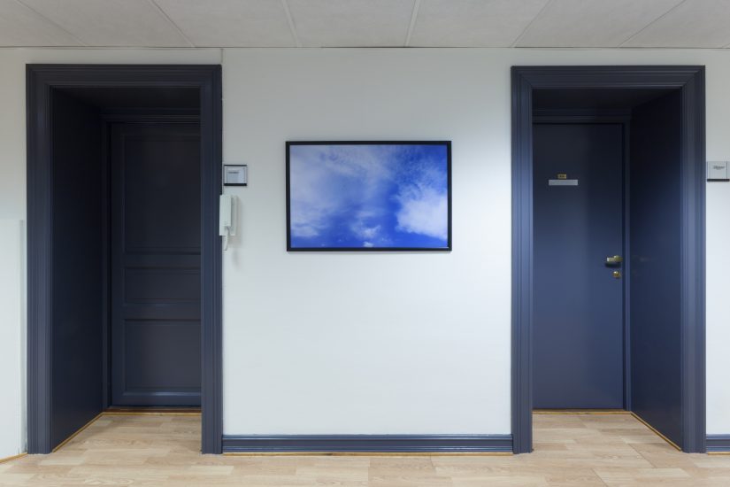 Måke 1.0, Anders Eiebakke. Fotograf: Werner Zellien