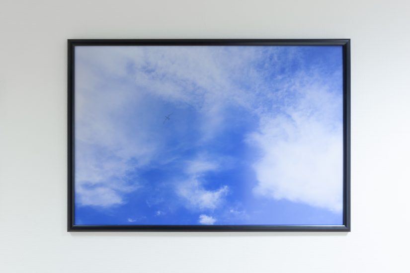 <em>Måke 1.0</em>, Anders Eiebakke. Photographer: Werner Zellien