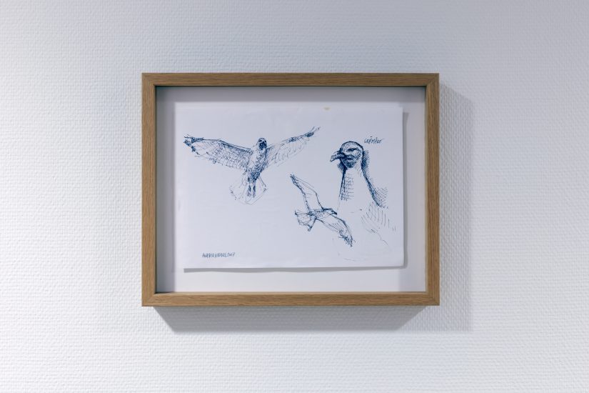 Måke 1.0, Anders Eiebakke. Fotograf: Werner Zellien